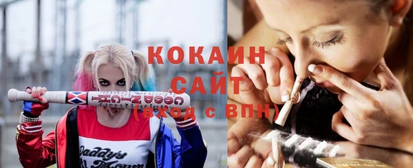 круглые Бронницы