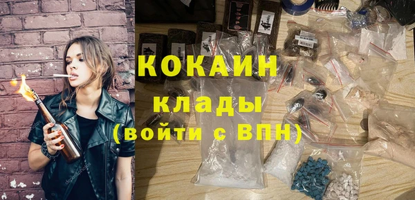 прущие грибы Бородино
