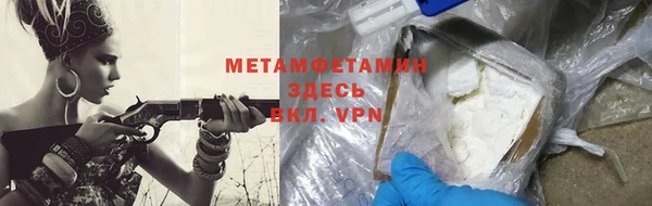 прущие грибы Бородино