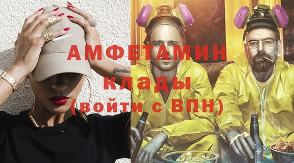 прущие грибы Бородино