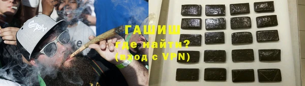 прущие грибы Бородино