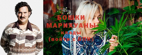 прущие грибы Бородино