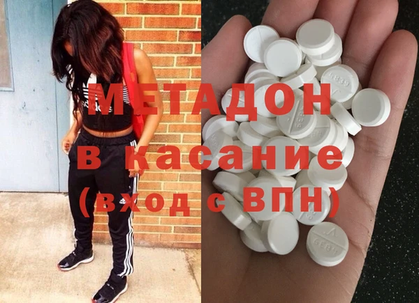 прущие грибы Бородино