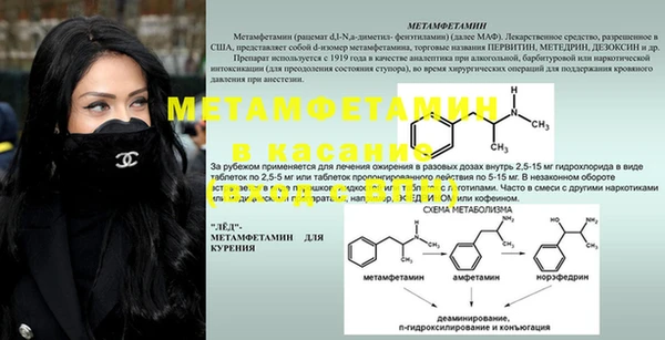 прущие грибы Бородино